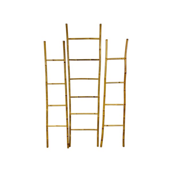 Échelle en bambou